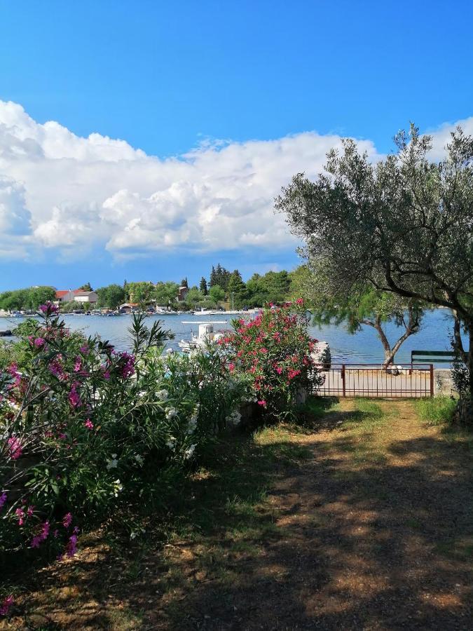 Raslina Sun Apartment Zewnętrze zdjęcie